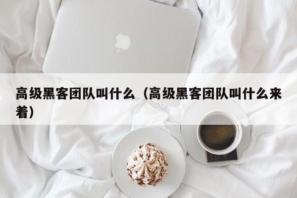 高级黑客团队叫什么（高级黑客团队叫什么来着）