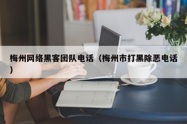 梅州网络黑客团队电话（梅州市打黑除恶电话）