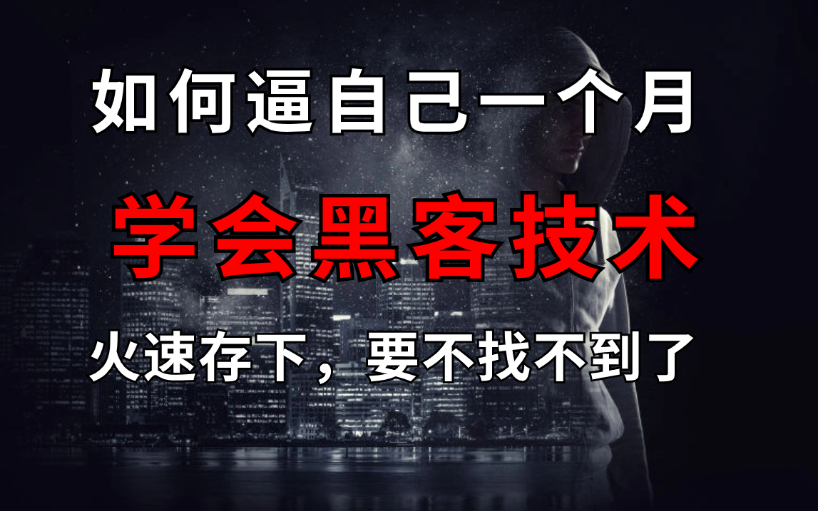 一人和一个黑客团队的简单介绍