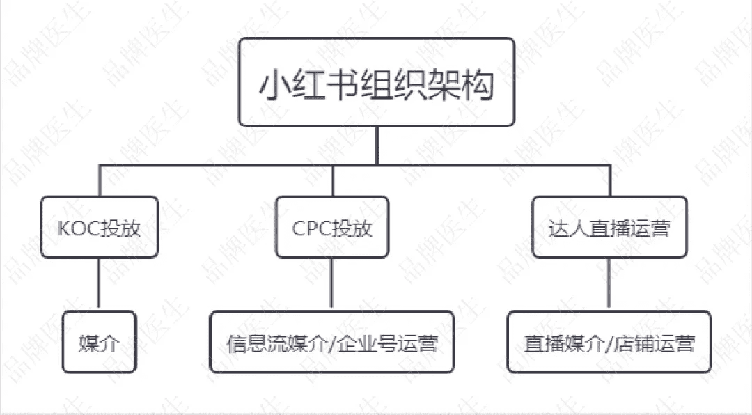 跨境电商黑客团队介绍(跨境电商黑客团队介绍模板)